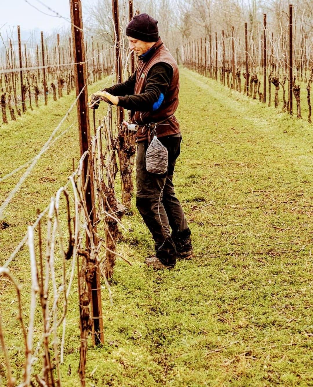 Antica Rinaldo Διαμέρισμα Valdobbiadene Εξωτερικό φωτογραφία